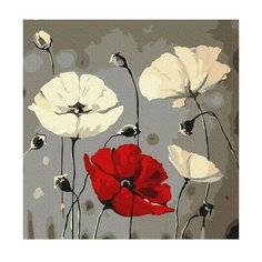 Картина по номерам Маки на темном фоне, 30x30 см. Molly