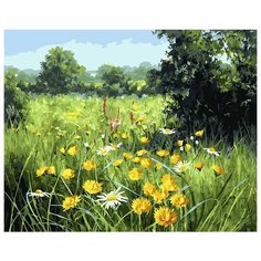 Картина по номерам Русское поле, 40x50 см. PaintBoy