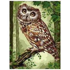 Картина по номерам Милый совенок, 30x40 см. Фрея