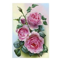 Картина по номерам Розовые розы, 20x30 см. Molly