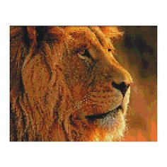 Алмазная мозаика Лев, картина стразами Цветной 30x40 см.