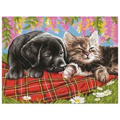 Картина по номерам Новые друзья, 30x40 см. Цветной