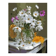 Картина по номерам Космея, 30x40 см. Molly