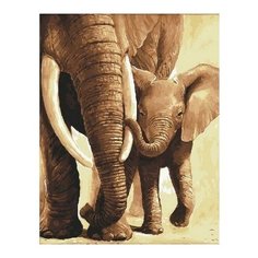 Картина по номерам Слоненок с мамой, 40x50 см. PaintBoy