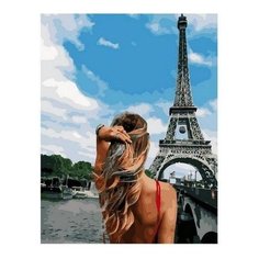 Картина по номерам Ветер Франции, 40x50 см. PaintBoy