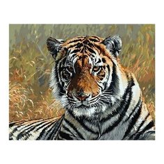 Картина по номерам Тигр в Саванне, 40x50 см. PaintBoy