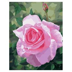 Картина по номерам Свежесть бутона, 40x50 см. PaintBoy
