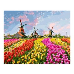 Картина по номерам Поле цветов, 40x50 см. PaintBoy