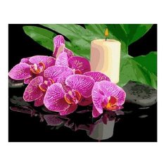 Картина по номерам Орхидея и свеча, 40x50 см. PaintBoy