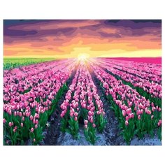 Картина по номерам Тюльпановое поле, 40x50 см. PaintBoy