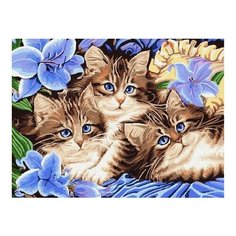 Картина по номерам Котята в цветах, 30x40 см. Цветной