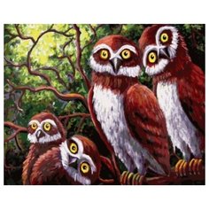 Картина по номерам Любопытные совы, 40x50 см. PaintBoy