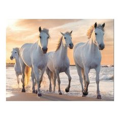 Алмазная мозаика Тройка белых скакунов, картина стразами Цветной 40x50 см.