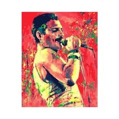 Картина по номерам Фредди Меркьюри, 40x50 см. PaintBoy