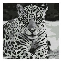 Картина по номерам Ягуар, 30x30 см. Molly