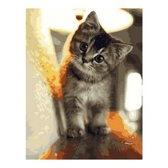 Картина по номерам Любопытный малыш, 40x50 см. PaintBoy