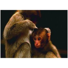 Алмазная мозаика Мать и дите, картина стразами Цветной 30x40 см.