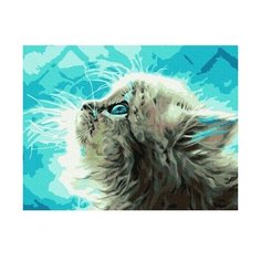 Картина по номерам Пушистый котенок, 30x40 см. Molly