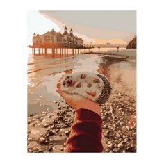 Картина по номерам Милый путешественник, 40x50 см. PaintBoy