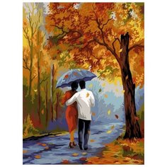 Картина по номерам Прогулка с любимым, 40x50 см. Фрея