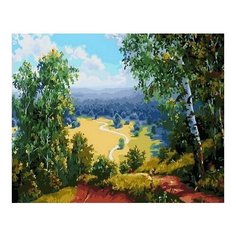 Картина по номерам Родные просторы, 40x50 см. PaintBoy