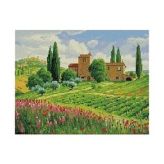 Алмазная мозаика Тоскана, картина стразами PaintBoy 40x50 см.