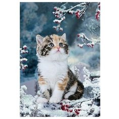 Алмазная мозаика Пушистое счастье, картина стразами Алмазное хобби 30x40 см.