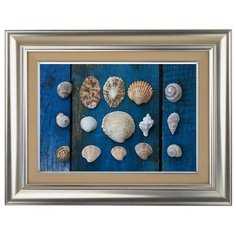 Алмазная мозаика Ракушечное панно, картина стразами Color KIT 40x50 см.