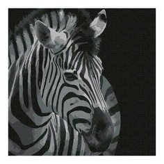 Картина по номерам Зебра, 30x30 см. Molly