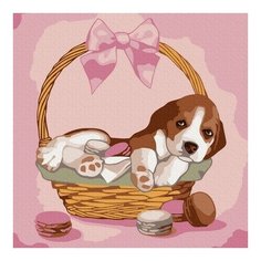 Картина по номерам Щенок в корзинке, 20x20 см. Molly