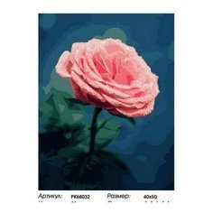 Картина по номерам Нежный розовый бутон, 40x50 см. PaintBoy