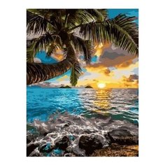 Картина по номерам Закат на Гавайях, 40x50 см. PaintBoy