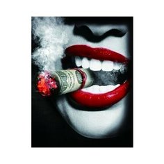 Алмазная мозаика ZX11001, картина стразами PaintBoy 30x40 см.