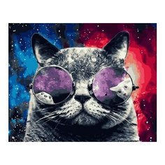 Картина по номерам Космический кот, 40x50 см. PaintBoy