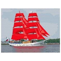 Картина по номерам Бриг Россия, 30x40 см. Molly