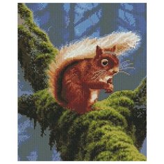 Алмазная мозаика Белочка на ветке, картина стразами PaintBoy 30x40 см.