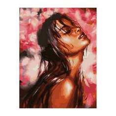 Картина по номерам Нега, 40x50 см. PaintBoy