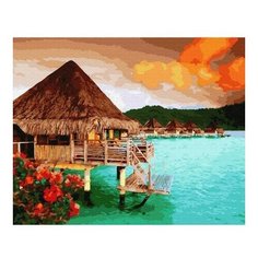 Картина по номерам О.Бора Бора, 40x50 см. Molly