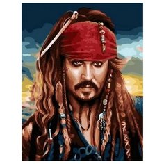 Картина по номерам Морской разбойник, 40x50 см. PaintBoy