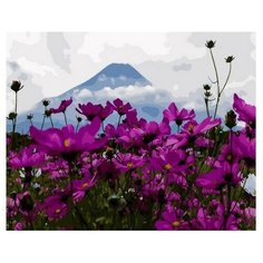 Картина по номерам Цветочный восторг, 40x50 см. PaintBoy