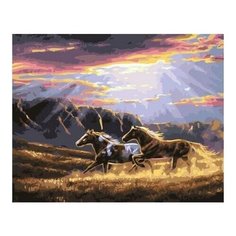 Картина по номерам Лошади в лучах солнца, 40x50 см. PaintBoy