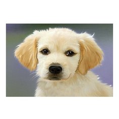 Картина по номерам Пушистый щенок, 20x30 см. Molly