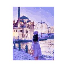 Картина по номерам Вечерняя прогулка под зонтом, 40x50 см. PaintBoy