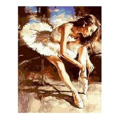 Картина по номерам Перед выходом на сцену, 40x50 см. PaintBoy