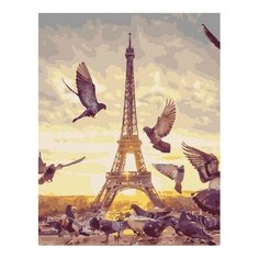 Картина по номерам Парижские голуби, 40x50 см. PaintBoy