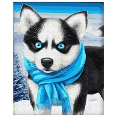 Картина по номерам Голубоглазый хаски, 40x50 см. Цветной