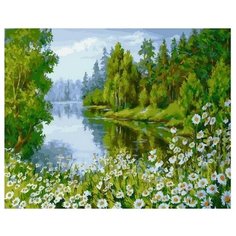 Картина по номерам Разнообразие природы, 40x50 см. PaintBoy