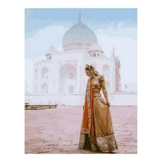 Картина по номерам Красота Агры , 40x50 см. PaintBoy
