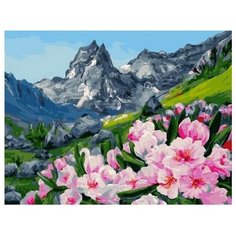 Картина по номерам Горные цветы, 40x50 см. PaintBoy