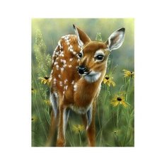 Картина по номерам Олененок, 30x40 см. Molly